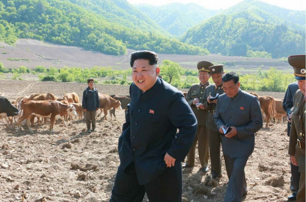 Hinh anh lanh dao Kim Jong-un thi sat trai chan nuoi-Hinh-2